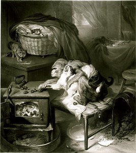A Pata do Gato (gravura) de Edwin Landseer