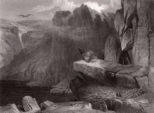 Ninho da águia de Edwin Landseer