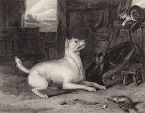 O intruso de Edwin Landseer