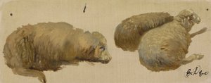 Três ovelhas em repouso (óleo sobre papel) de Edwin Landseer
