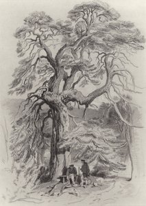 Sob a velha árvore de abeto de Edwin Landseer