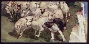 Bobtailed Sheep-Dog e Flock on the Cliffs (cor litho) de Edwin Noble