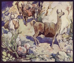 Llamas nos Andes (cor litho) de Edwin Noble