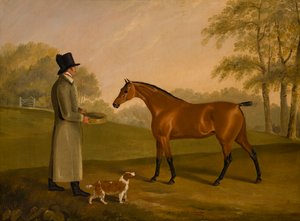 Um cavalo numa paisagem com o noivo, David, Bennet, c.1805 (óleo sobre tela)