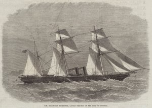 HM Steam-Ship Racehorse, recentemente destruído no Golfo de Pecheli