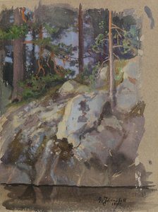 Cliff de Eero Järnefelt