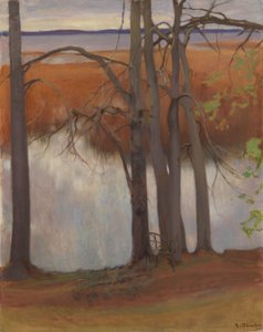 Margem do lago com juncos de Eero Järnefelt