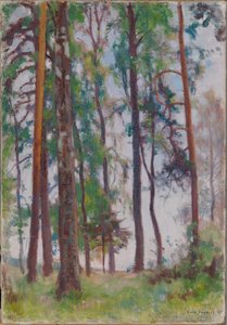 Pines de Eero Järnefelt