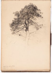 Copa de um pinheiro, página do caderno de esboços de Järnefelt de Eero Järnefelt