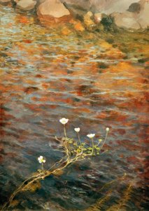 Waterranununcle de Eero Nikolai Jarnefelt