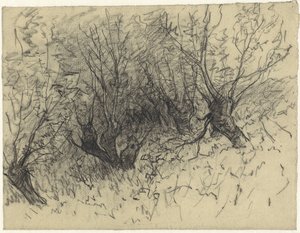Alguns salgueiros de sondagem de Egbert Rubertus Derk Schaap
