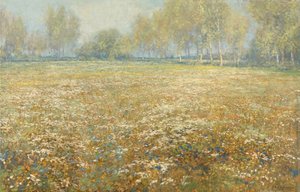 Prado em flor de Egbert Schaap