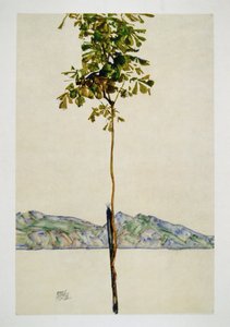 Baeumchen - Castanheiro no lago de Constança de Egon Schiele