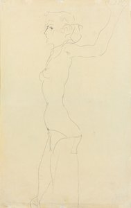 Nu feminino; Madchenakt, 1911 de Egon Schiele