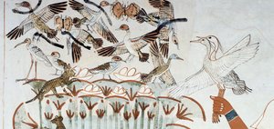 Patos, ninhos, borboletas, gatos e roedores, detalhe do cenário de caça e pesca nos pântanos, fresco, parede norte, câmara longitudinal, Theban Tomb TT69, Sheikh Abd el-Qurna, Tebas. Civilização egípcia, Reino Novo, Dinastia XVIII. de Egyptian 18th Dynasty