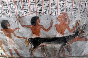 Antiquite egípcio: personagens que lideram cabeças de rabo de cauda. Pintura da Tumba de Roy (TT255). 18ª dinastia. Da Cisjordânia de Luxor, Egipto. de Egyptian 18th Dynasty