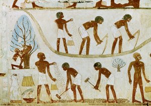 Agricultores a abrir terreno, a semear e a arar (pintura mural) de Egyptian 18th Dynasty