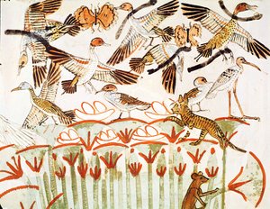 Pesca e aves nos pântanos, detalhe dos pássaros, da Capela Tomba de Menna, New Kingdom (pintura de parede) de Egyptian 18th Dynasty
