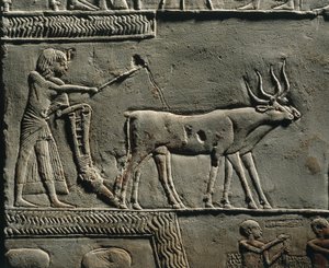 Horemheb a lavrar a terra nos Campos de Iaru. Relevo do túmulo de Horemheb em Saqqara, pormenor. de Egyptian 18th Dynasty