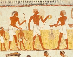 Medindo a terra usando corda, da Capela da Tumba de Menna, New Kingdom (pintura de parede) (veja também 251666)