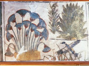 Pintura representando um pato entre plantas, do Palácio de Akhenaton, El-Awara, Egipto de Egyptian 18th Dynasty