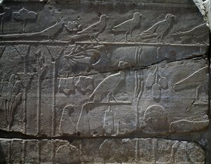 Plantas e animais trazidos da expedição de Tutmés III à Síria em 1465 a.C., pormenor do relevo, salão conhecido como o chamado Jardim Botânico, Templo de Amon, Complexo do Templo de Karnak, Civilização Egípcia, Novo Reino, Dinastia XVIII de Egyptian 18th Dynasty