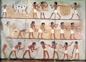 Cenas de semeadura e colheita, da Tumba de Unsou, East Thebes, New Kingdom (c.1555-1080 aC) (pigmento sobre argila)