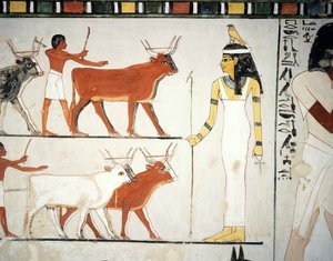 Pastores e gado em frente à deusa Imentet, fresco, parede sul, câmara longitudinal, Túmulo Tebano TT69, Sheikh Abd el-Qurna, Tebas (Lista do Património Mundial da Unesco de Egyptian 18th Dynasty