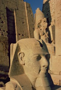 Cabeça colossal de Ramsés II (1298-32 aC) Novo Reino