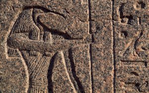 Representação de Thoth, pormenor da inscrição e relevo de Thoth e Hórus, sarcófago de Amenhotep, Mênfis (Lista do Património Mundial da Unesco de Egyptian 19th Dynasty