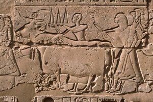 Detalhe de um relevo representando homens conduzindo uma vaca, pátio Ramesses II (1298-32 a.C.) (calcário) de Egyptian 19th Dynasty