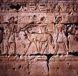 Relevo retratado oryx sendo levado em procissão para o sacrifício, do Templo de Ramesses II, New Kingdom