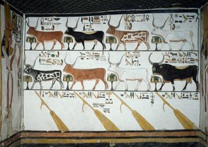 Sete vacas celestes, marido boi e quatro remos de direção, capítulo 148 do Livro dos Mortos, detalhe de afrescos na segunda câmara da Tumba de Nefertari, Vale das Rainhas, Luxor, Tebas. Civilização egípcia, Reino Novo, Dinastia XIX. de Egyptian 19th Dynasty
