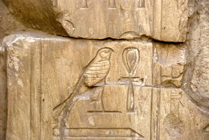 Antiquite egípcia: Cartucho de Cavalo de Ankh. Tumba de Ankh-Hor (Ankh Hor) (TT414) (26ª Dinastia, 672-525 AC), Luxor (Tebas), Egito