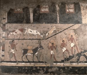Cena agrícola, pintura de parede removida da Mastaba de Ti em Sakkara, Old Kingdom, c.2494-2345 aC (pedra calcária pintada)