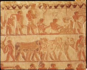 Alívio pintado representando a postagem de impostos e um grupo de gado, Old Kingdom (pintura de parede)