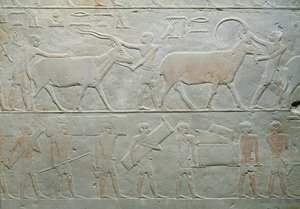 Servos dirigindo um oryx e um antílope e outros carregando bagagem, do Mastaba de Akhethotep, Saqqara, Old Kingdom, c.2400 aC (calcário pintado)