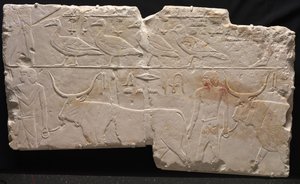 Alívio dos homens que trazem pássaros e gado, c.2311-2281 aC de Egyptian 6th Dynasty