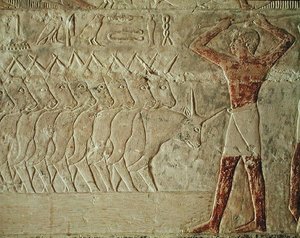 Relevo retratando um tropeiro incentivando um grupo de gado, do Mastaba de Mereruka, Reino Antigo (pedra calcária pintada)
