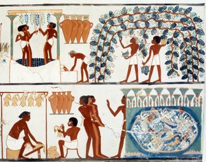 Arte Egito: colhendo e pisando uvas. Simile College of the Tomb of Nakht, período de Amenophis II (ca. 1450-1425 a.C.) Paris, College De France