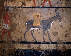 Antiquidade egípcia: "o transporte de grãos nas costas de uma mula" Pintura tempera da parede da tumba do chanceler do rei Iti (ou Ity) 2200-2000 AC. De El Ghebelen, Luxor. Turim, museu egípcio de Egyptian Egyptian