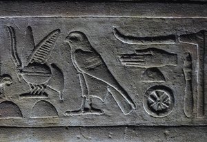 Hieróglifos, Abelha do Faraó e Falcão de Hórus, Templo de Hórus, Edfu de Egyptian Egyptian