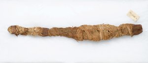 Múmia de crocodilo, encontrada em Manfalont, 305 aC-30 aC (restos de animais e linho) de Egyptian School
