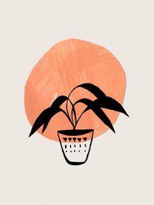 Planta em vaso estilo boho de Ejaaz Haniff