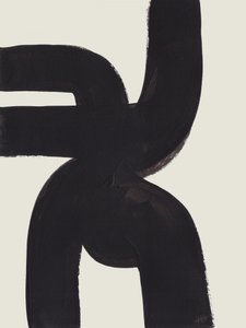 Curvas Negras Orgânicas