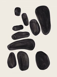Formas Negras Orgânicas de Ejaaz Haniff