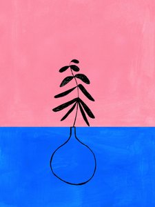 Rosa, Azul e Botânico de Ejaaz Haniff