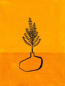 Planta minimalista e acolhedora de Ejaaz Haniff