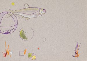 Flutuante, 2014 (lápis de aguarela e folha de ouro sobre papel)