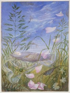 Morte, mas um sono - Quando a primavera começa "